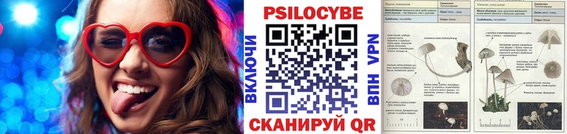 купить наркотики цена  Новая Ладога  Галлюциногенные грибы мухоморы 